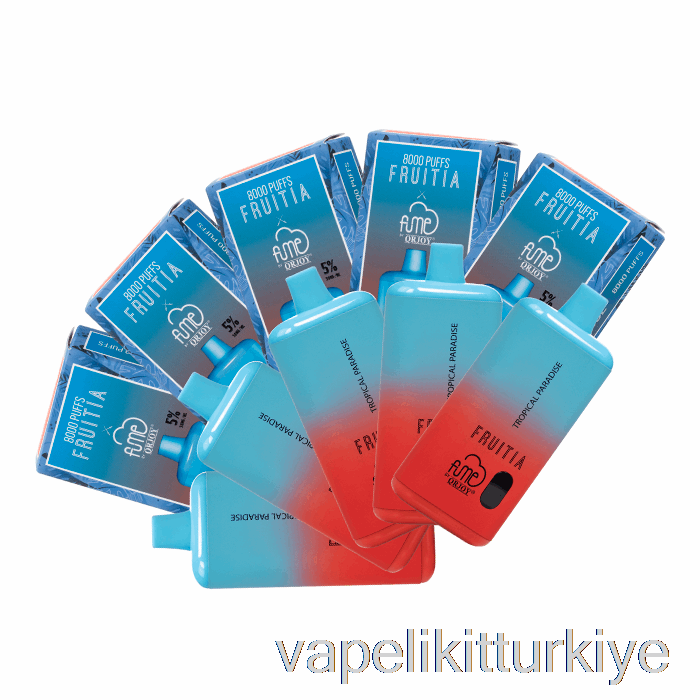 Elektronik Sigara Kalemi Vape Mate [10'lu Paket] Meyveli X Duman 8000 Tek Kullanımlık